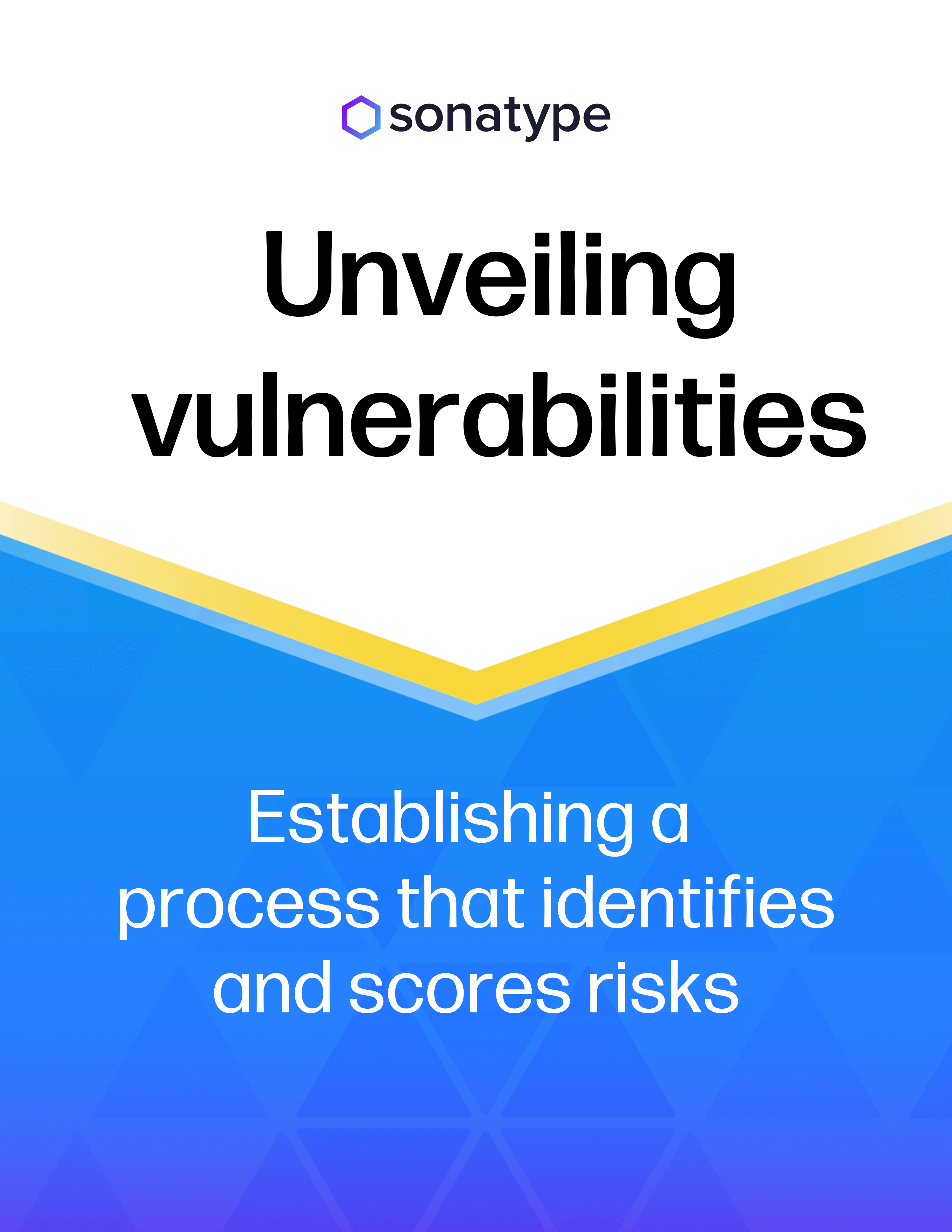 cover-Unveiling_Vulnerabilities_Guide